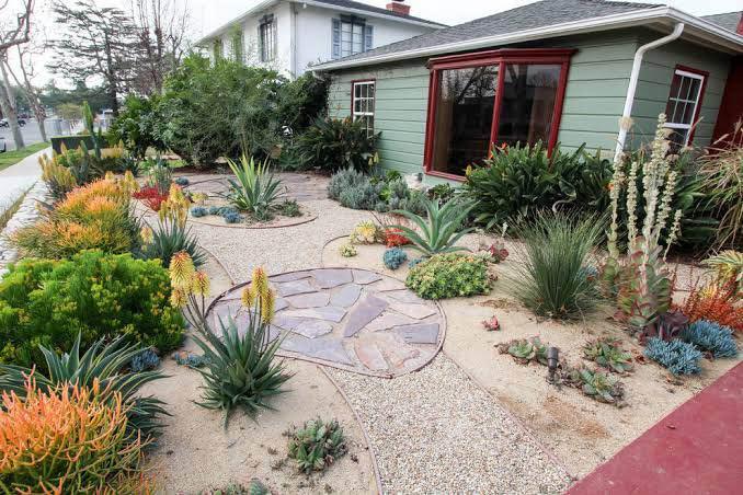 A drought-tolerant front yard garden featuring a variety of succulents and desert plants, complemented by South Mountain Turf & Putting Greens. The landscape includes gravel paths and a circular stone arrangement. The house in the background has a green exterior with large windows.