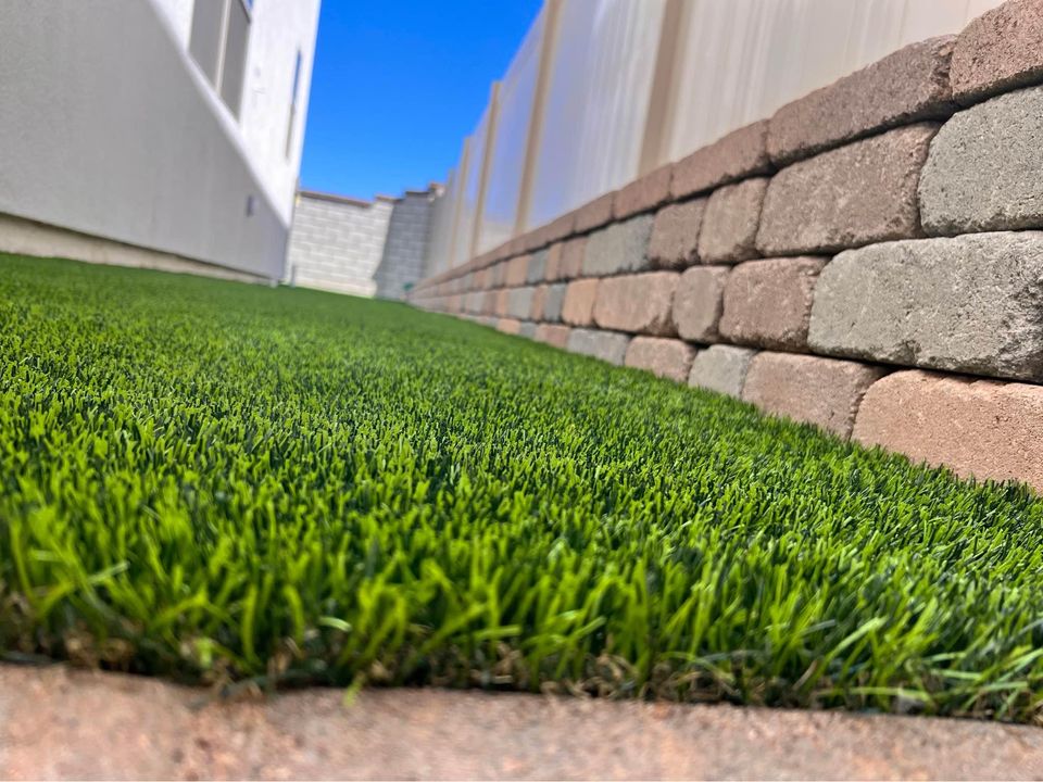 Close-up of a lush green lawn that hints at the perfect backyard putting greens, next to a brick wall under a clear blue sky. The grass is well-maintained, bordered by a white building on the left and a stone pathway in the foreground.